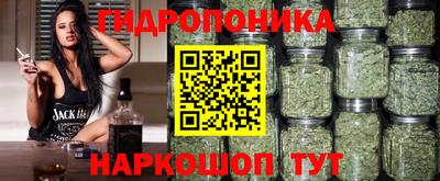 молекула духа Чапаевск