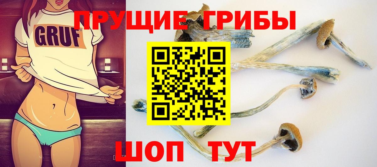 Псилоцибиновые грибы Magic Shrooms  Вход с VPN  Волжск 